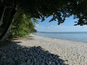 Kamminke - Reetdachhaus - Image 3