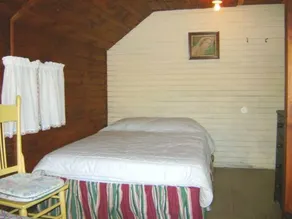 Ossipee Lake house, pet friendly - Image 4