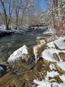 Country Mountain Escape! - Image 4