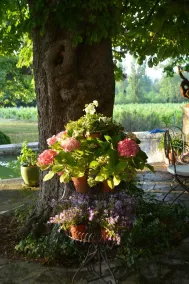 Domaine le Clos du Pavillon - Image 4