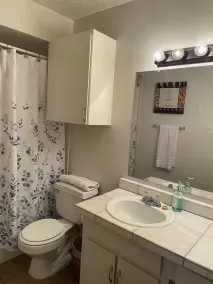 Homey first floor 2 bedroom apartment with fireplace - Image 3