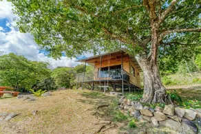 Finca Murillo - Image 5