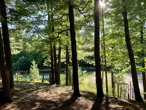 Süße Hütte am Fluss! Staatsland, nur wenige Schritte entfernt zum Jagen! - Image 2