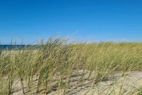 Avskild strandretreat i Rodhus-By Traum - Image 2