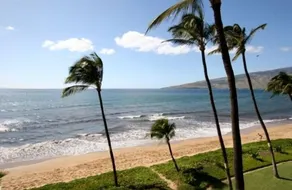 OceanFRONT, OPDATERET, 4. sal, 1BR Cali King, ikke-ryger, SHARP! - Image 5