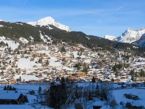 Vacation Home i Les Diablerets med 4 sovrum som kan rymma 10 - Image 3