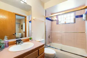 Private Mt Baker View, Hot tub, WIFI sleeps 12 - Image 3