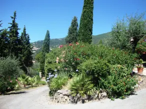 Villa with pool in a relaxing and green oasis, in Grasse - Image 5