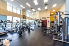 Luxurious 2BD Condo with Direct Ocean Front & Resort Pool in Sunny Isles - Image 3