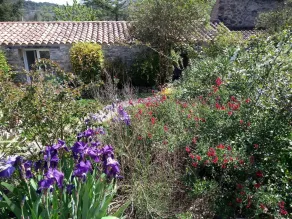 La Petite Grange 1-bed apartment with sunny terrace. Pool & Garden - Image 4