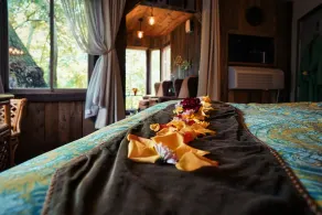 Unique Treehouse With Spectacular View. - Image 3