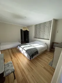 Magnificent, fully renovated town house - Image 5
