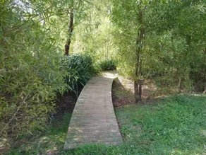 Limetree Hideaway at Dunns Creek Estate - Image 4