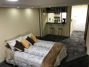 Entire Apartment Zona Rosa - Image 5