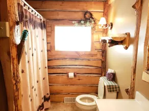 Blissful cozy, year round, lakeside cabin on Butternut Lake.  Dogs welcome. - Image 3