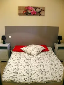 I hjertet af Cevennes: fredeligt ophold i et miljø med grønt og afslapning - Image 4