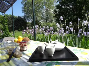 Charming cottage - private terrace overlooking the large wooded park - Image 5