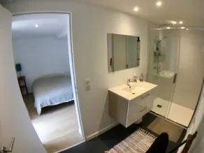Large renovated house, swimming pool, walking distance to the beach.  - Image 3
