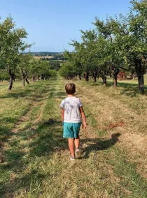 Casa di campagna ristrutturata con piscina e colombaia a 1 km da La Romieu - Image 2