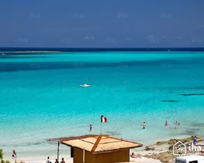 Hus La Pelosa - Image 3
