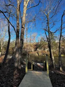 The Solarium: Woodstock Retreat w/Hot tub+Stream! - Image 2