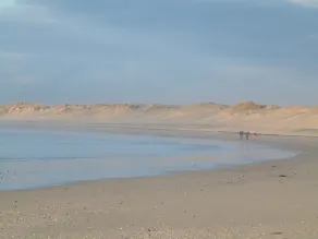 Nyligen hus, någon komfort, i ett lugnt och skogsområde, nära havet. - Image 5