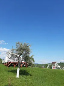 SKY DOME - Image 2