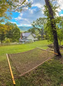 1885 Farmhouse Luxuriously Renovated: Animals & Antiques - Image 5