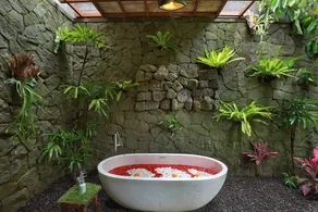 a place to reclaim your senses - Image 2