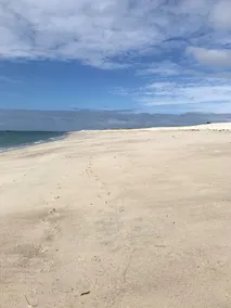 Maison à 100m de la Plage - Image 4