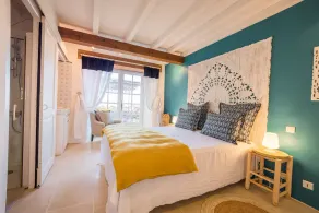 Fully renovated farmhouse, swimming pool, 33-hectare estate, 3 terraces - Image 5