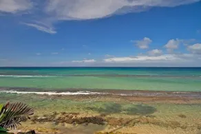 Watch Sea Turtles from this Ocean Front Lanai. Affordable in Paradise! - Image 5