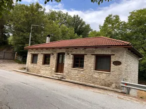 Villa Acroria in Karpenisi - Image 5
