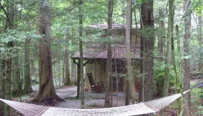 Privat / afsondret hytte i Mature Woods ved Nat`l Park kort gåtur til Creek Pets OK - Image 4