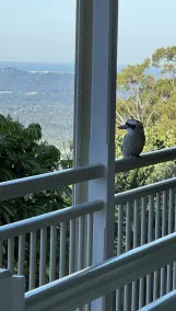 Historic Queenslander in Montville, Sunshine Coast Hinterland - Image 5