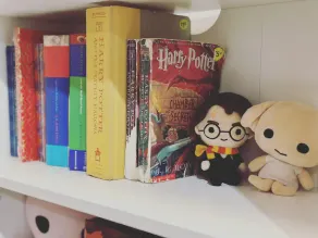 Beachfront Cabin with Lake Views & Harry Potter Room - Image 3