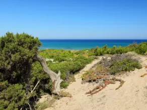 Holiday Home Baia delle Mimose by Interhome - Image 4