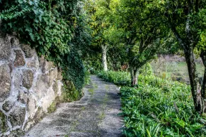 Farm In the middle of nature - Image 4