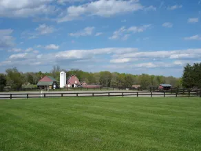 Enjoy Horses as your neighbors on our 600 Acre Horse/Cattle Farm. - Image 3