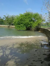 Ein Ort der Ruhe, an dem das Karibische Meer Ihr Garten ist - Image 3
