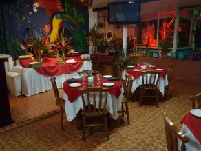 Chambre Exécutive Casa Lima B&B # 6 - Image 3