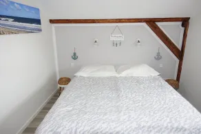 Meer-Zeit-OG-Seepferdchen - Image 5