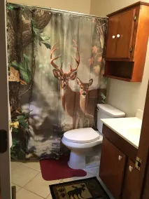 Charming 3 Bedroom Cabin near Hungry Mother State Park and Back of the Dragon - Image 4