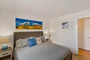 Condo am Berghang: Kingsize-Bett/Whirlpool/An freier Buslinie/Kamin - Image 5