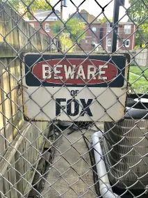 HELT NY! SHAW FOX'S DEN: Mysig, rolig och vacker! - Image 5