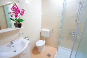 Villa Marta in Tucepi, private pool - Image 2