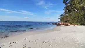 In The Heart Of Husky by Book Jervis Bay - Image 2