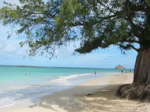 Home Sweet Home-minuter till Kailua Beach-privat pool - Image 3