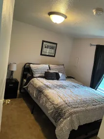 Cozy 1 Bedroom Located Downtown/Close to Soaring Eagle/CMU - Image 4