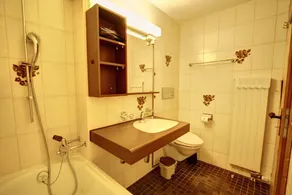 1-Zimmerwohnnung mit Bergsicht im 3. Stock - Image 3